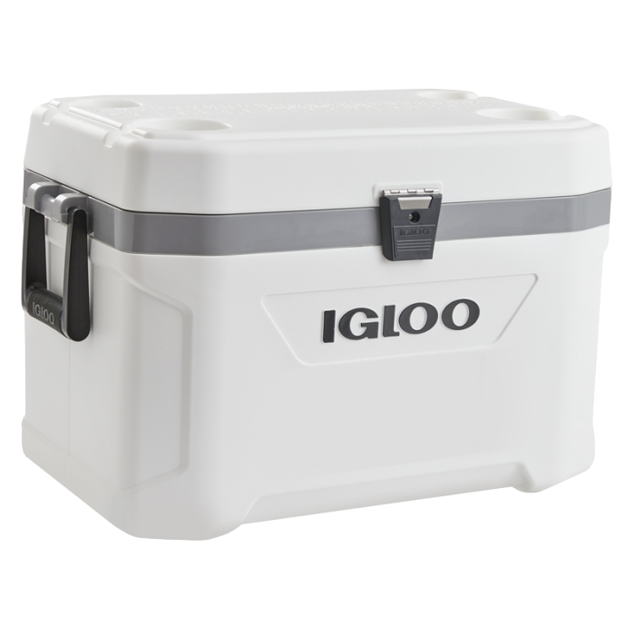 Neverita Igloo Marine