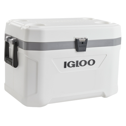 Neverita Igloo Marine